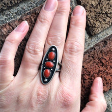 Load image into Gallery viewer, "Fan The Flame"