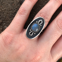 Load image into Gallery viewer, "Lady Lab"