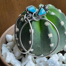 Load image into Gallery viewer, “Fraternal”