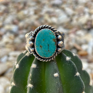 "Turquoise For All"