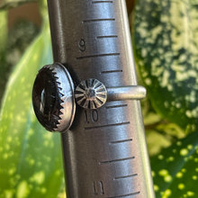 Load image into Gallery viewer, &quot;Witch&#39;s Garden&quot;
